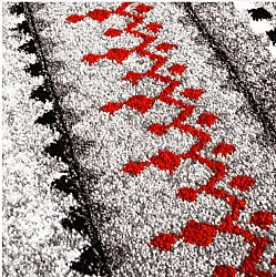 Wilton - Elduvik (rood)