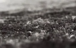 Hoogpolig vloerkleed - Shaggy Luxe (antraciet)