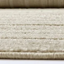 Shaggy Indoor/Outdoor - Hazleton (beige)