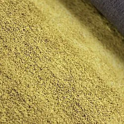 Wilton - Bacalar (oker)