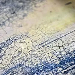 Wilton - Dolmio (blauw/multi)