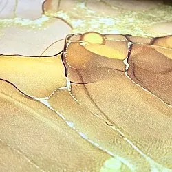 Wilton - Etienne (beige/goud)