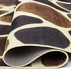 Wilton - Lodi (giraffe)