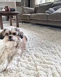 Hoogpolig vloerkleed - Stettin (offwhite)