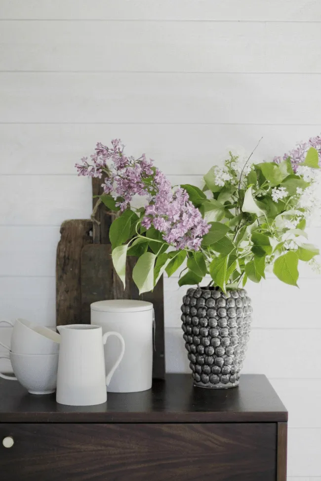 TV-meubel / Ladekast - Prime (walnoot/messing)