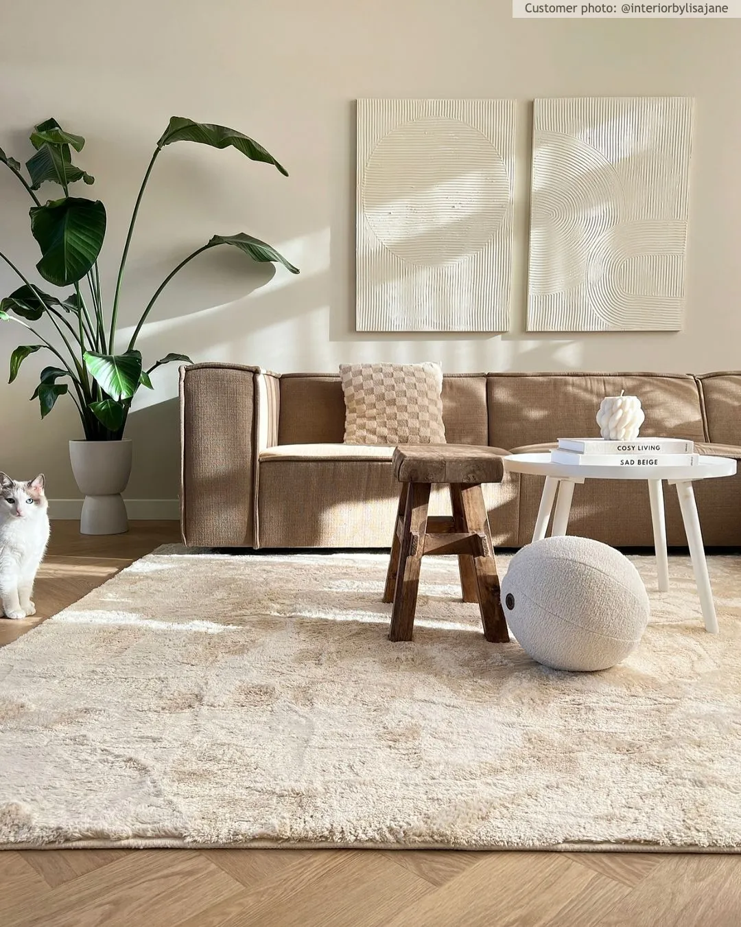 Hoogpolig vloerkleed - Aranga Super Soft Fur (beige)