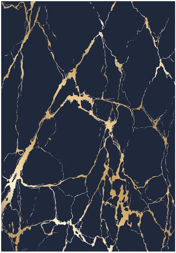 Wilton - Cesina (zwart/goud)