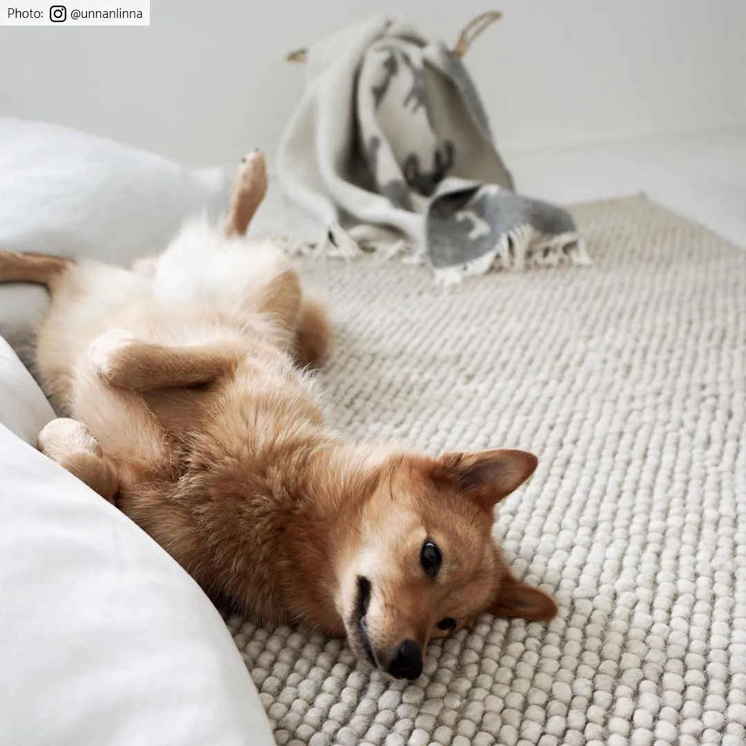 Wollen-vloerkleed - Avafors Wool Bubble (beige)