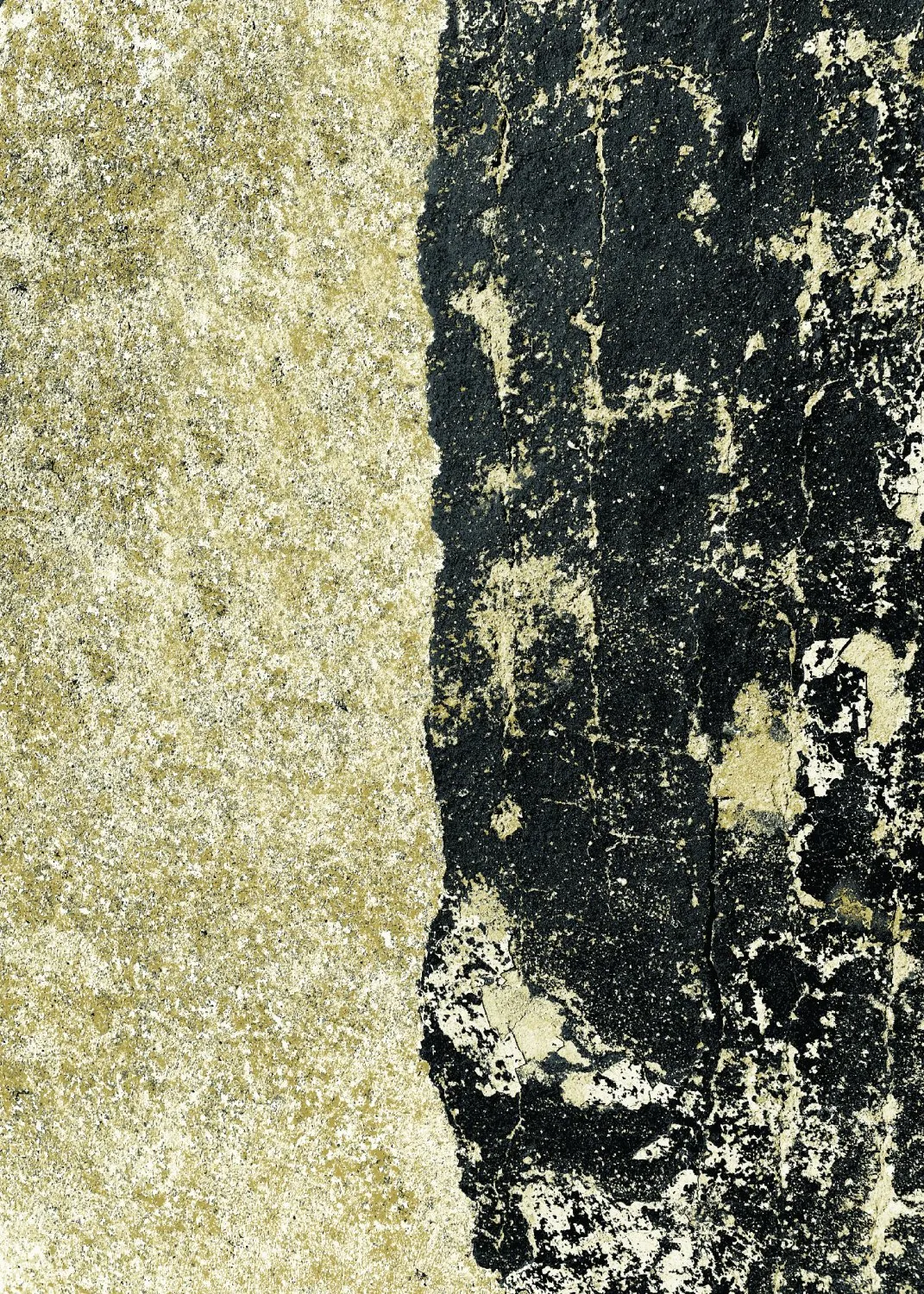 Wilton - Cyra (zwart/goud)