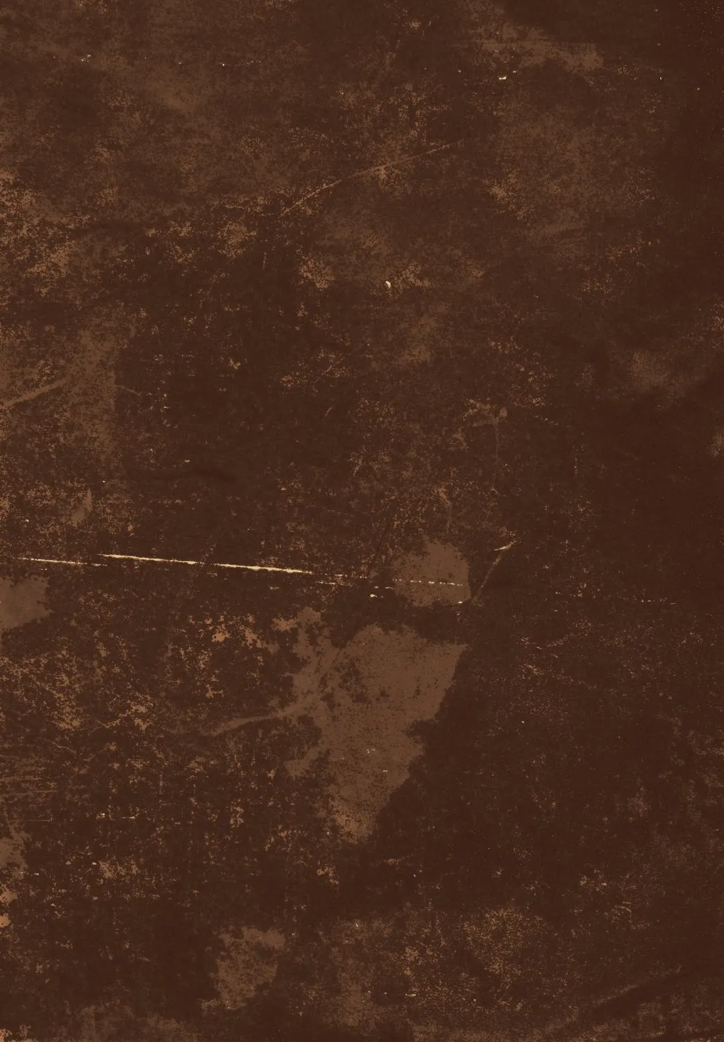 Wilton - Zahora (bruin)