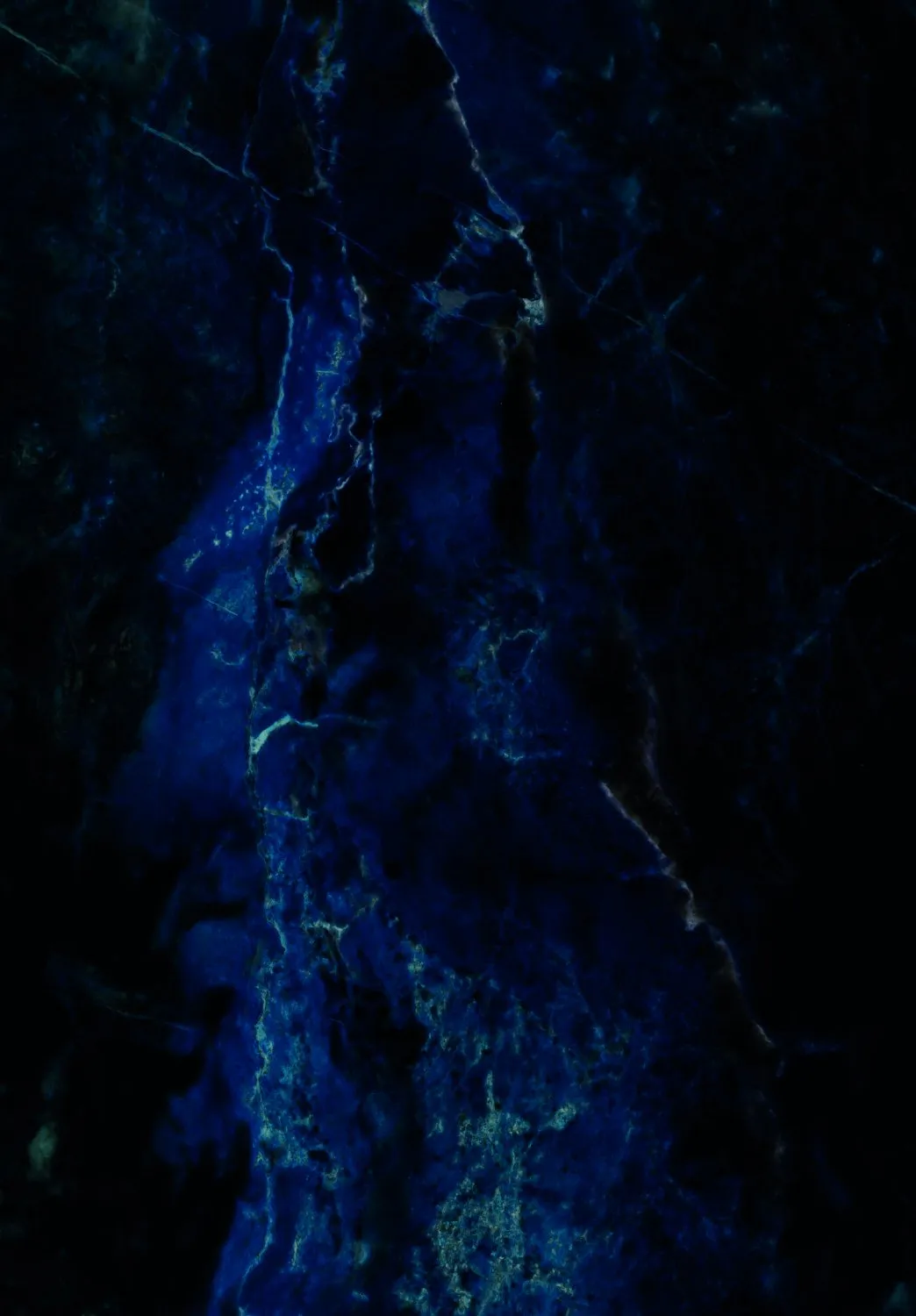 Wilton - Zuani (donkerblauw)