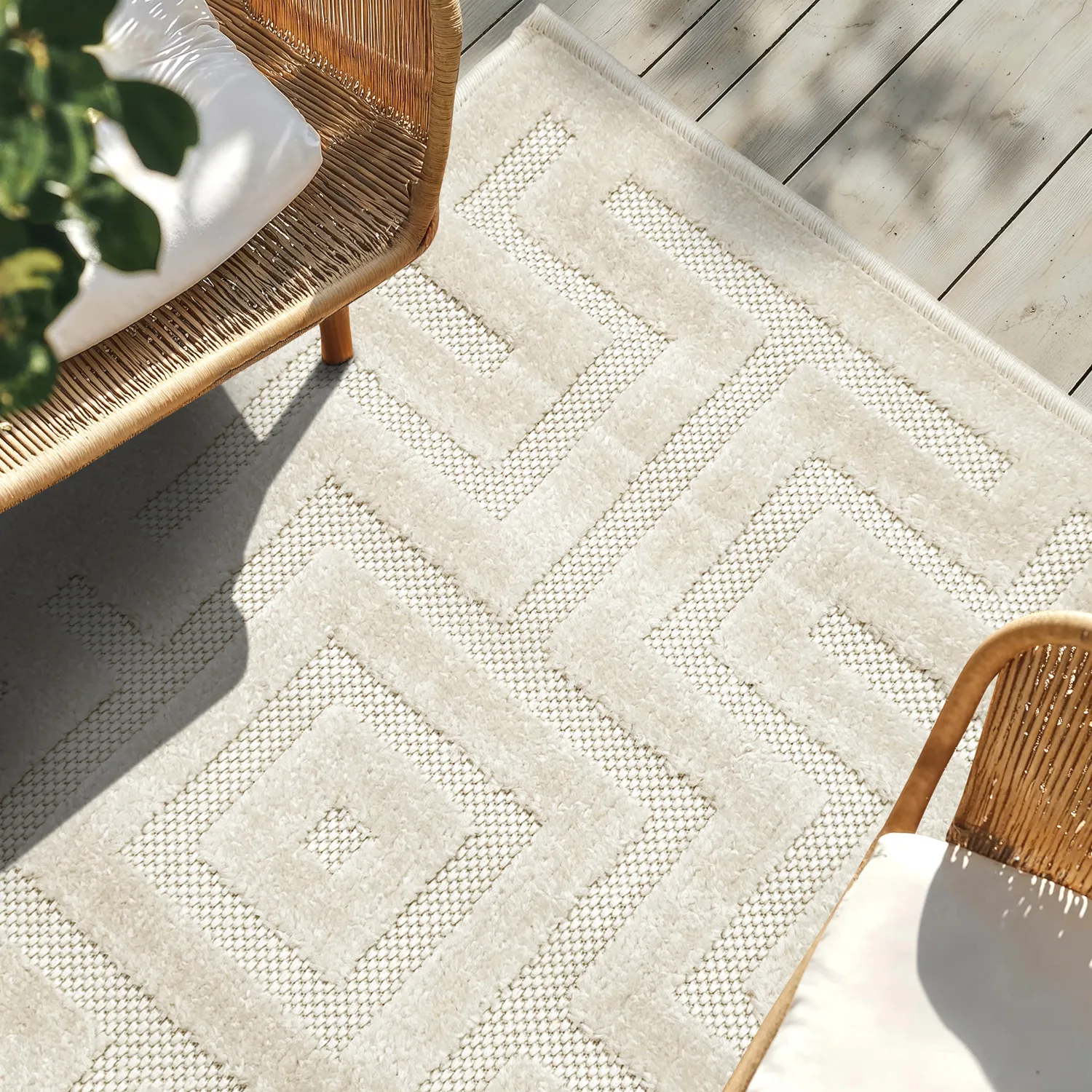 Shaggy Indoor/Outdoor - Oneida (room)