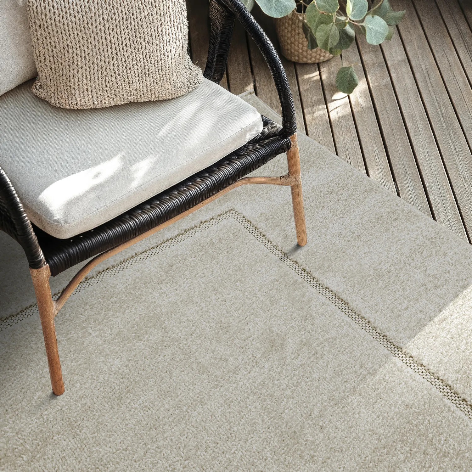 Shaggy Indoor/Outdoor - Syracuse (room)