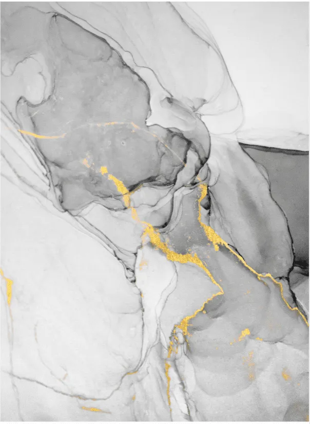 Wilton - Manilva (grijs/wit/goud)