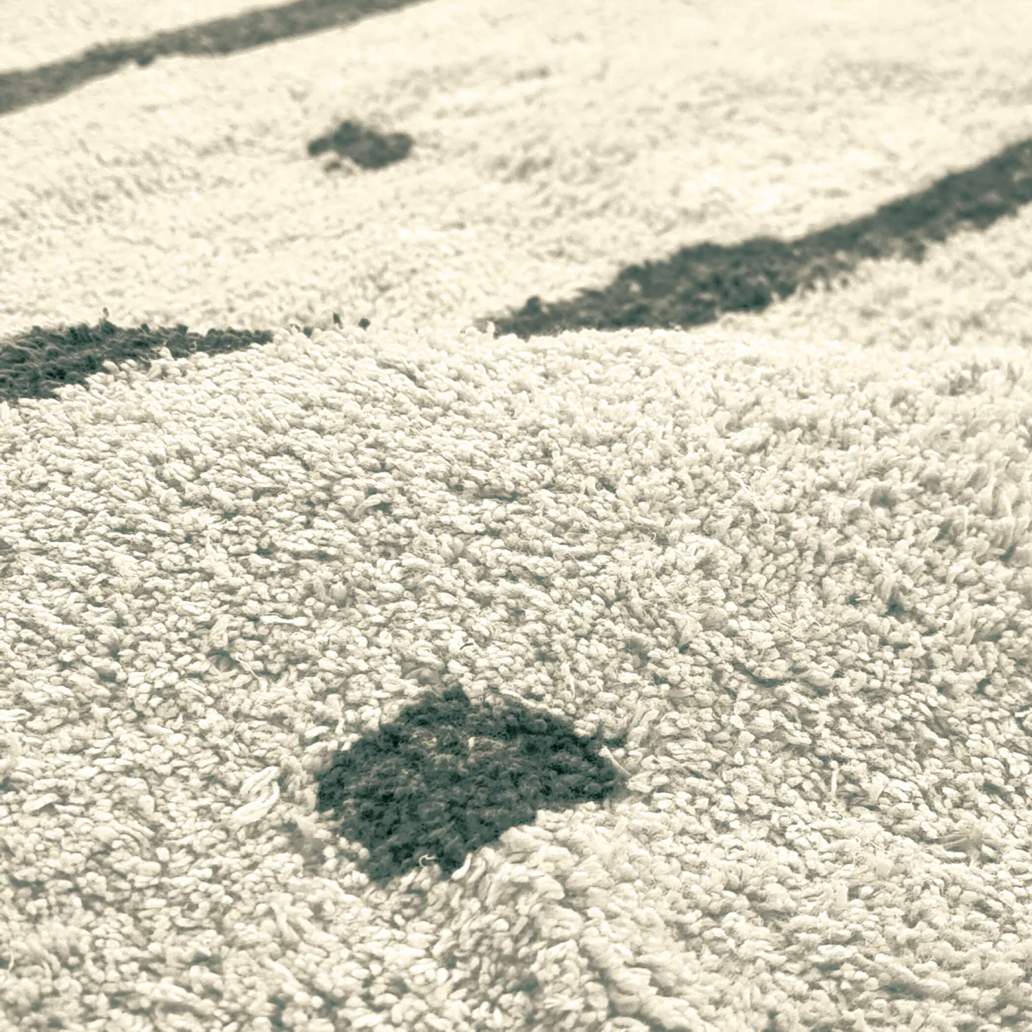 Rond vloerkleed - Leora Natural Cotton Shaggy (beige/groen)