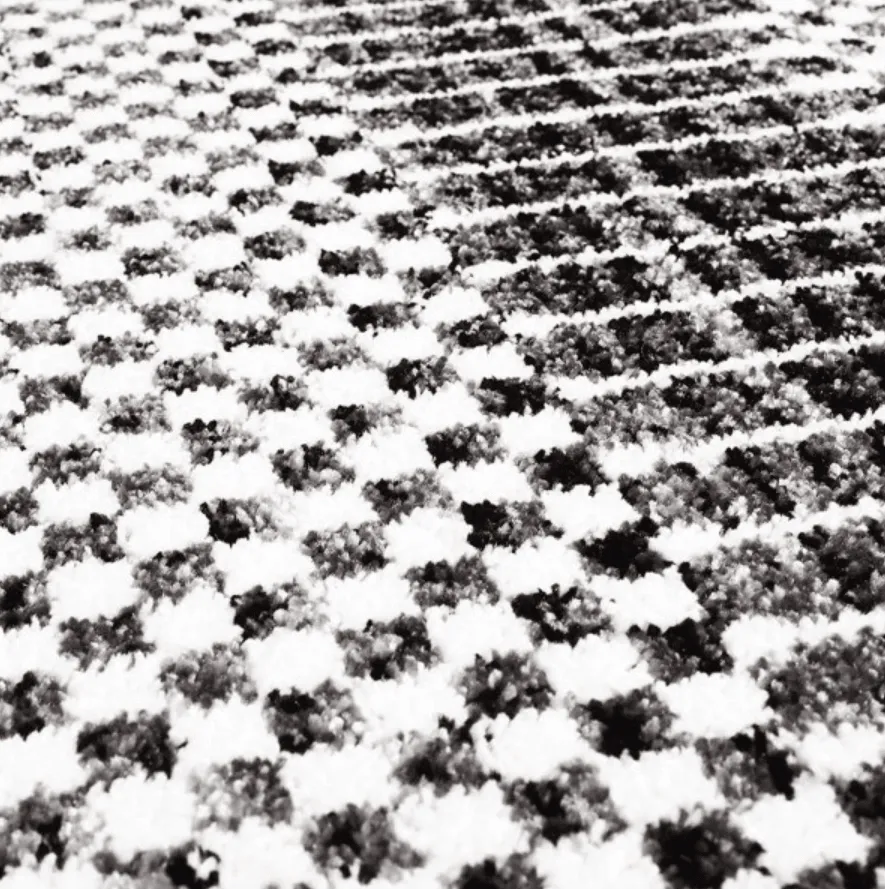 Wilton - Renous (grijs)