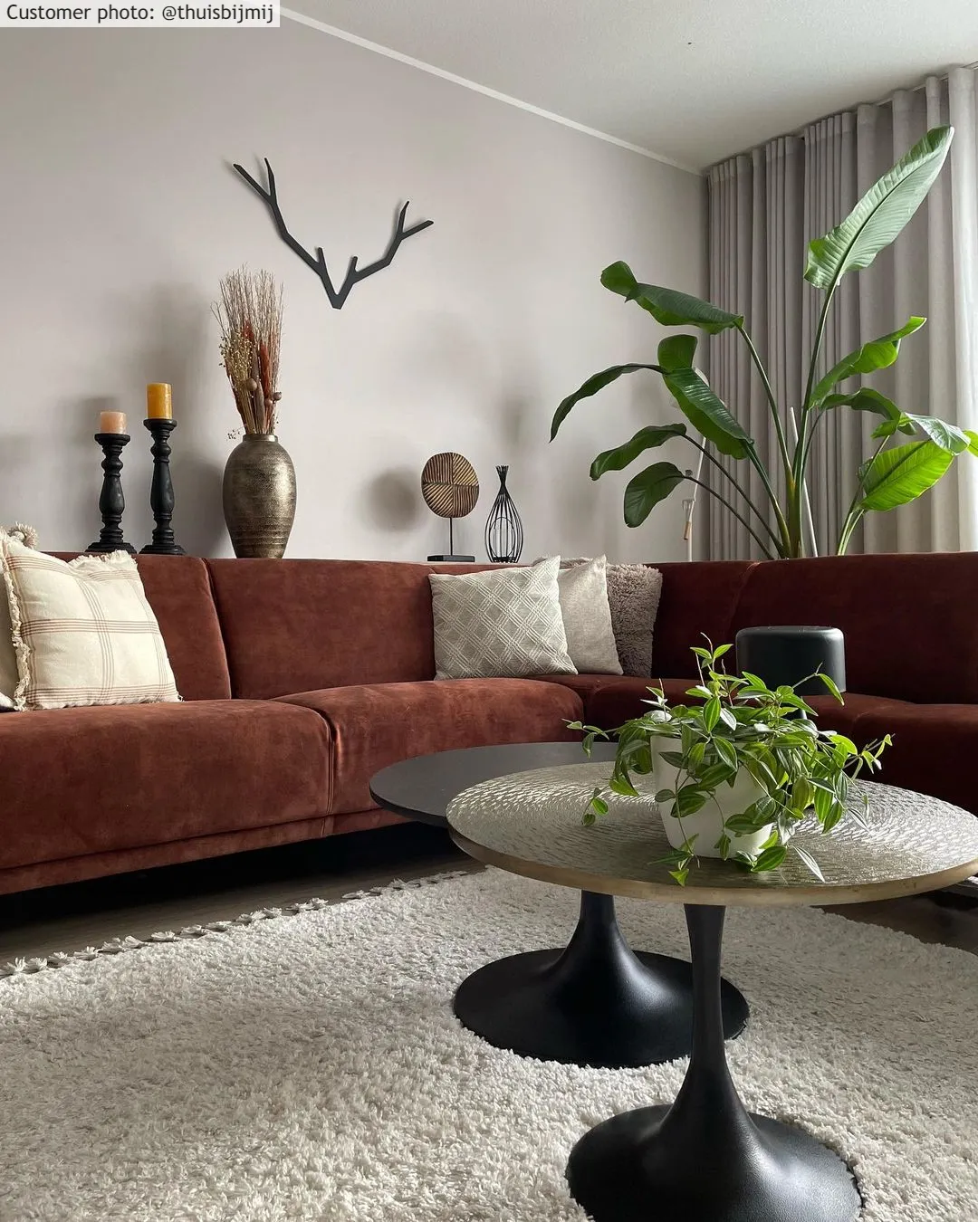 Hoogpolig vloerkleed - Orellana (beige)