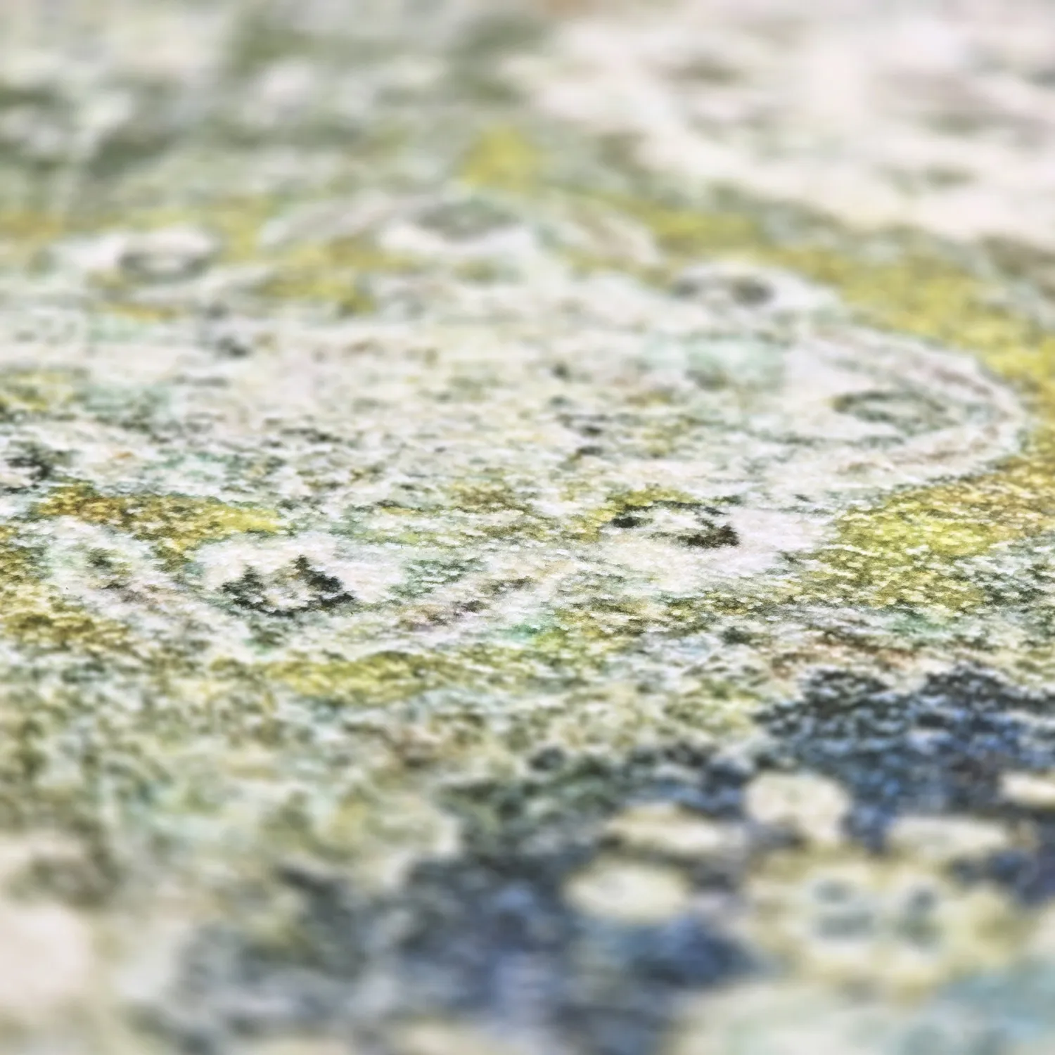 Wilton - Bohemia (groen/multi)