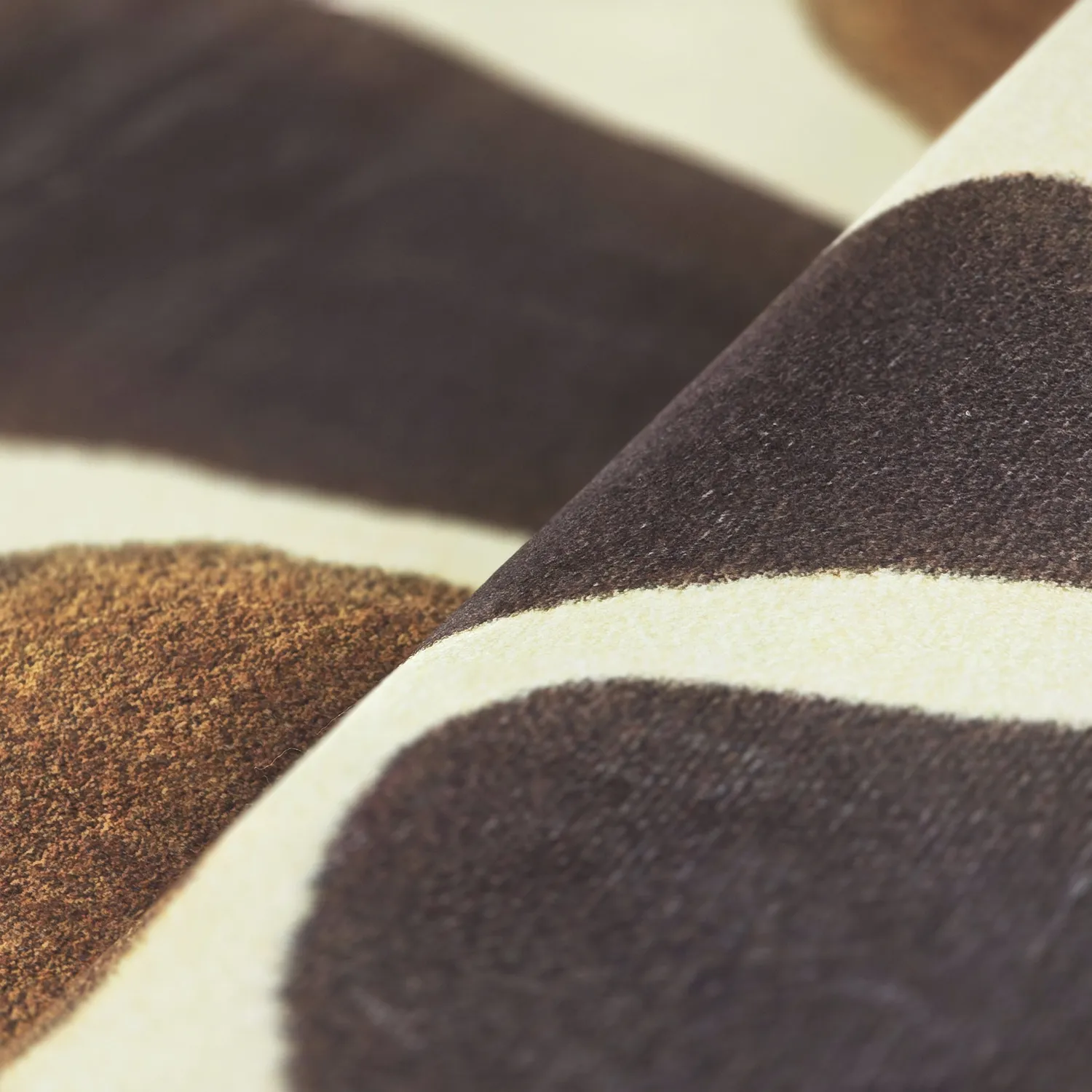 Wilton - Lodi (giraffe)