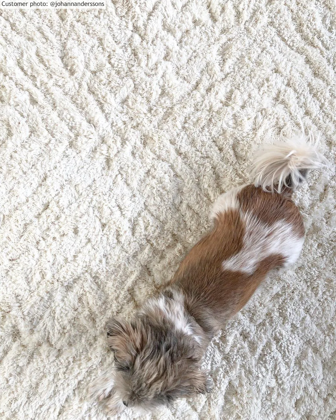 Hoogpolig vloerkleed - Stettin (offwhite)